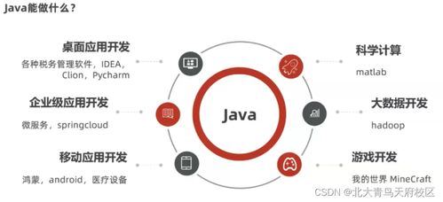 想在互联网公司上班,该选择什么专业学习入行呢