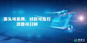 溯源云追溯平台 食品安全体系的 互联网 模式