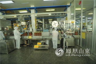 科技与诚信成为鲁花腾飞发展的两只 翅膀