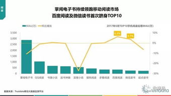 trustdata 2017年上半年中国移动互联网发展分析报告