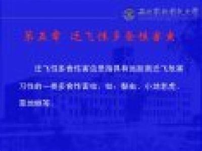 手游戏如何加盟_网络游戏加盟招商