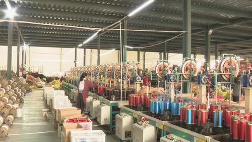 惠民绳网产业提档升级,每年开发20个系列200多种规格的产品