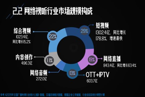 2020中国网络视听发展研究报告 发布,如何解读行业现状及趋势
