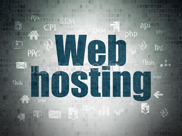 数字数据纸背景下的网络开发与网络托管概念解析