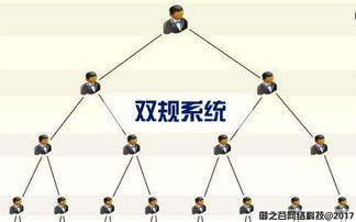 御之谷网络 专业软件开发与网络开发服务的引领者